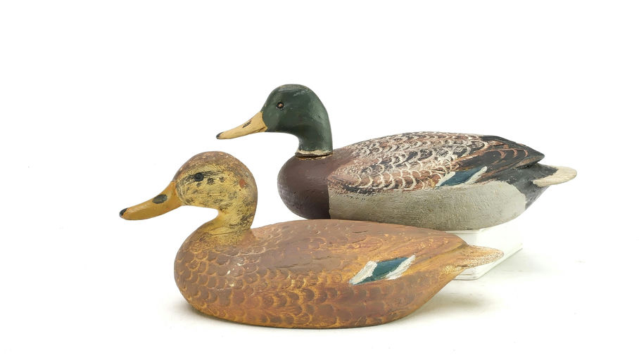 Ben Schmidt – Pair of Mallard – 2025