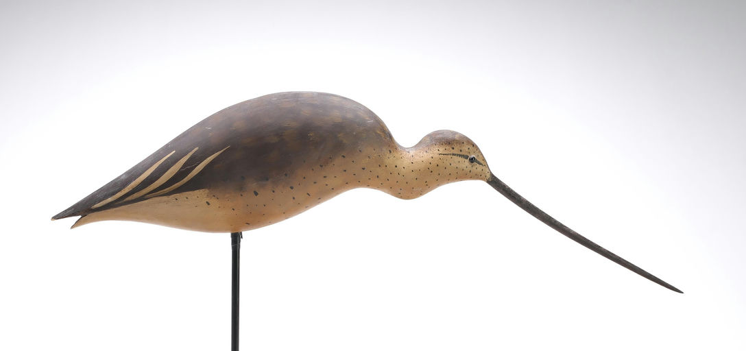 Bob White – Curlew – 2026
