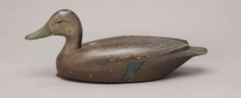 David W. Nichol – Black Duck – 2011