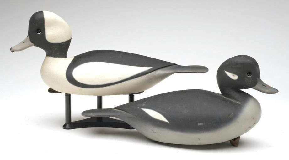 Pete Peterson – Pair of Bufflehead – 2023