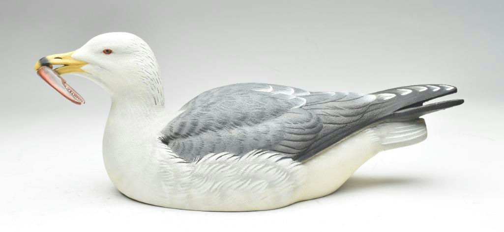 Tom Matus — Herring Gull With Crab Claw