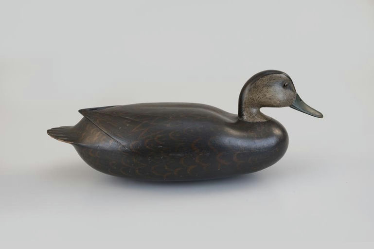 Joe Morgan – Black Duck – 2026