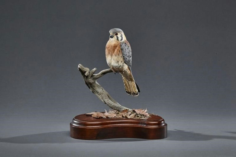 Peg Lawrence – Kestrel – 2017