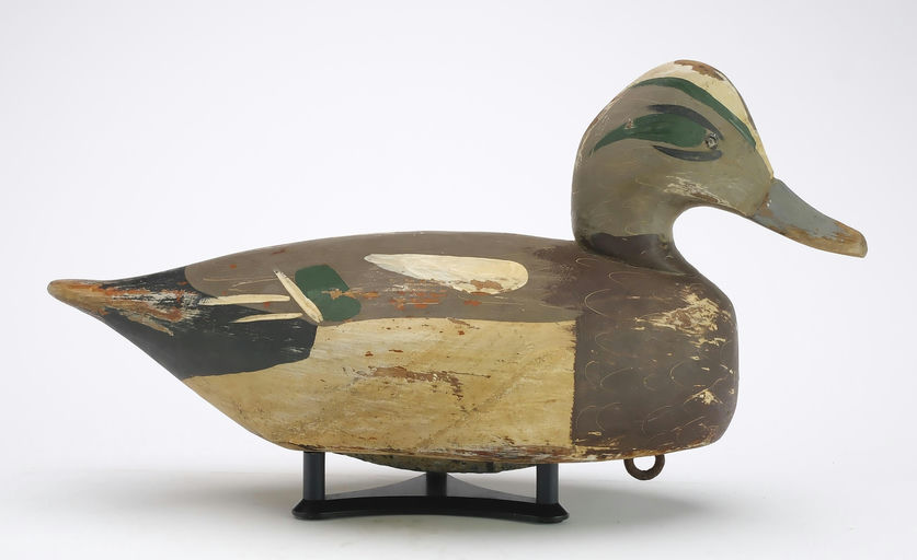 Miles Hancock – Wigeon – 2024
