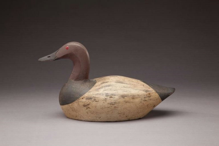 John Roth – Canvasback Drake – 2011