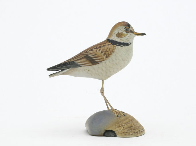 Elmer Crowell – Piping Plover – 2024