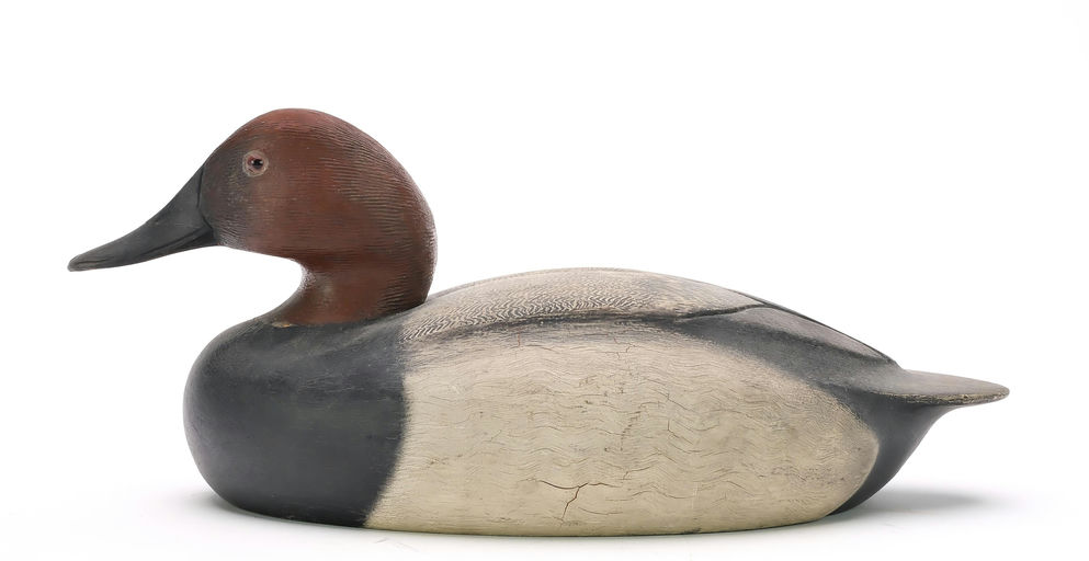 Ken Anger – Canvasback – 2024