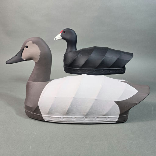 Nick Sapone – Canvasback – 2026