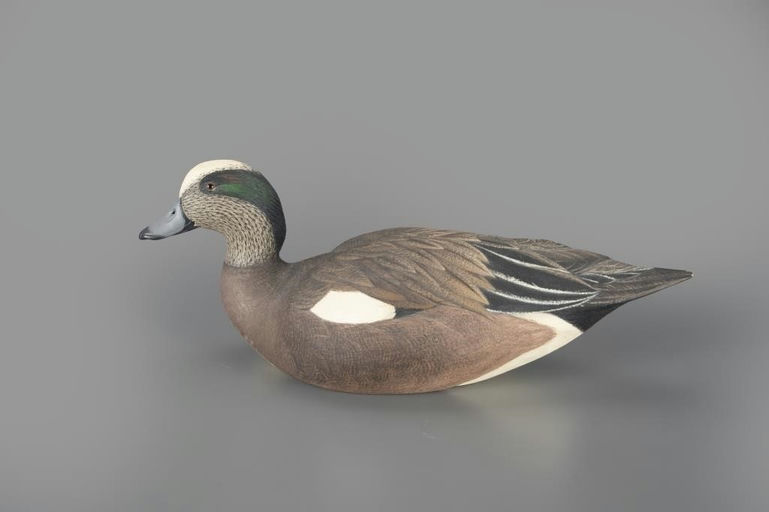 Roger Barton – Wigeon Drake – 2024