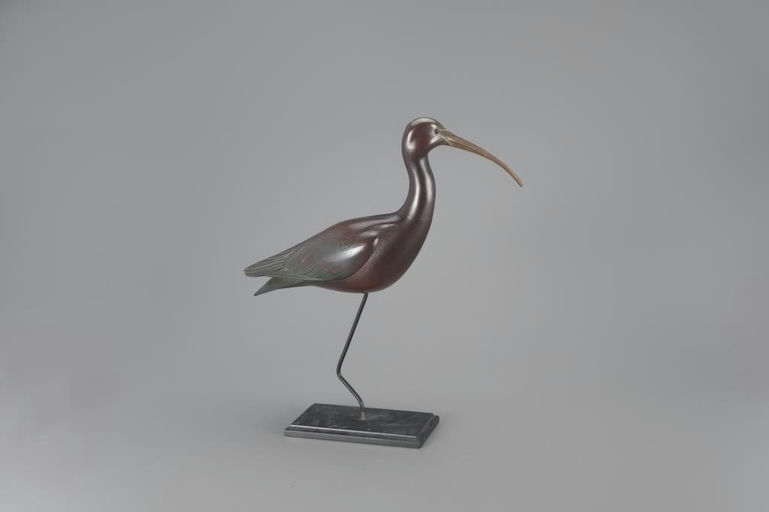 Bill Gibian – Ibis – 2024