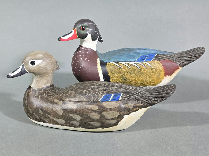 Herb Daisey — Wood Duck