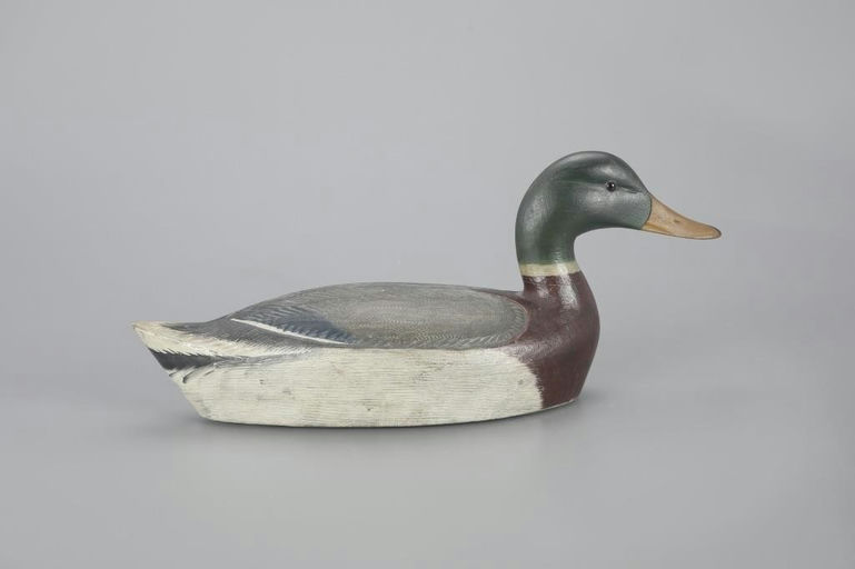 Chauncey Wheeler – Exceptional Mallard Drake – 2023