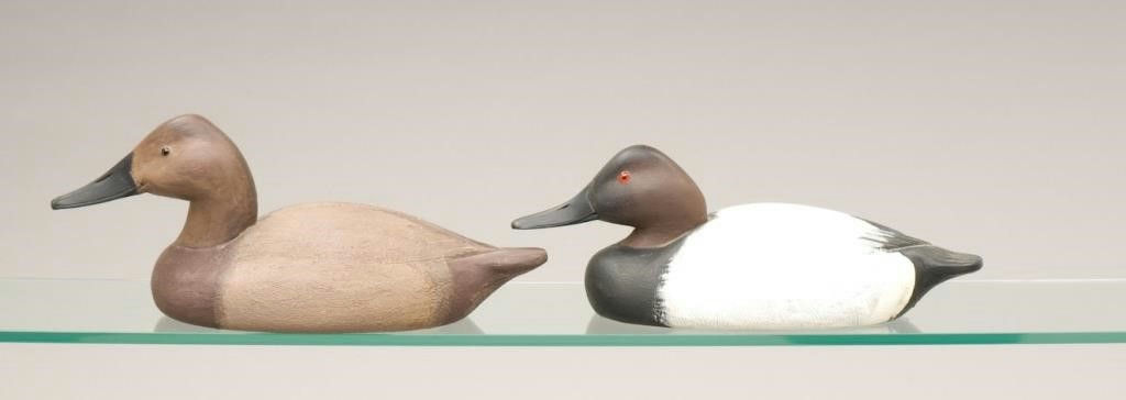Ralph Reghi – Canvasback Pair – 2010