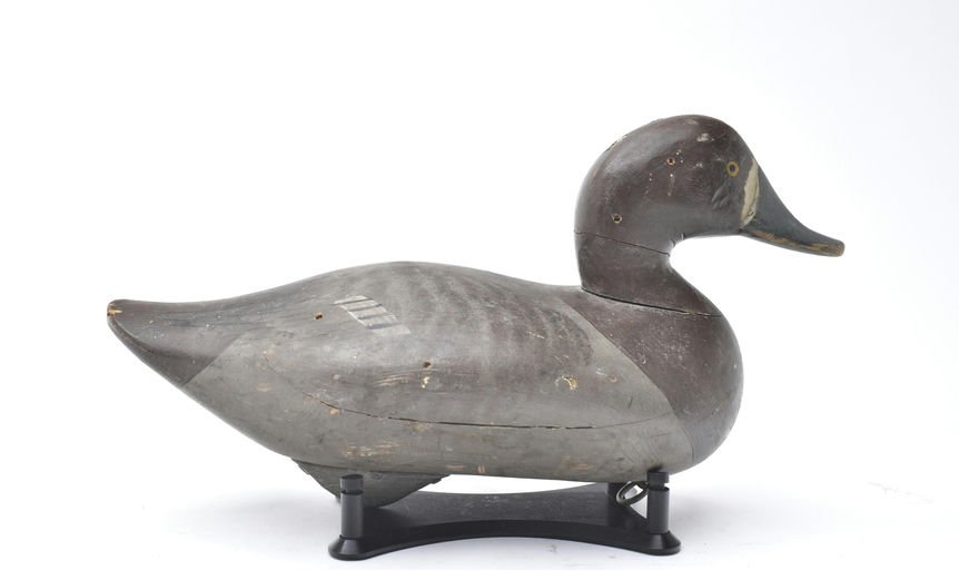 R. Madison Mitchell – Bluebill Hen – 2025