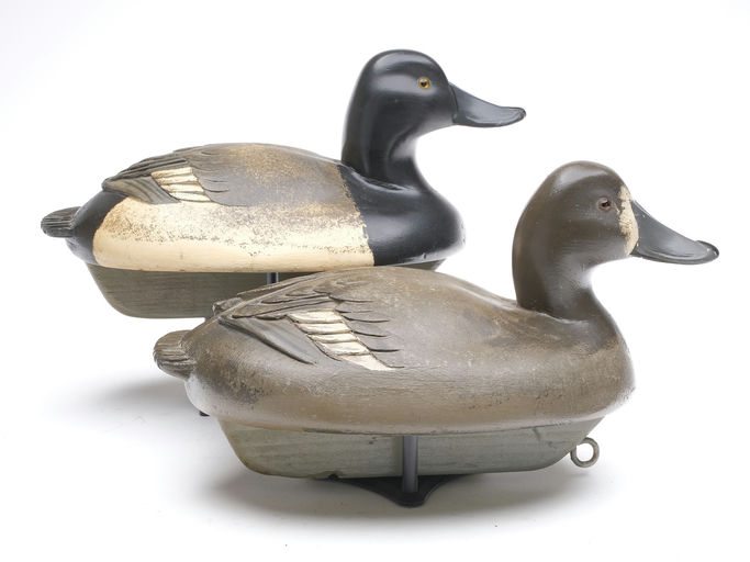 Ferdinand Bach – Pair of Bluebill – 2023