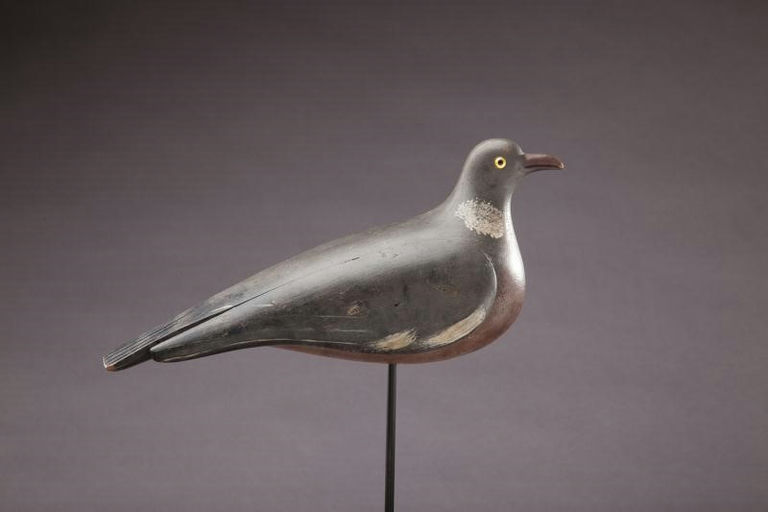 James Buttonow – Pigeon – 2012