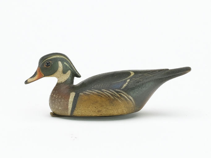 Mark McNair – Miniature Wood duck – 2024