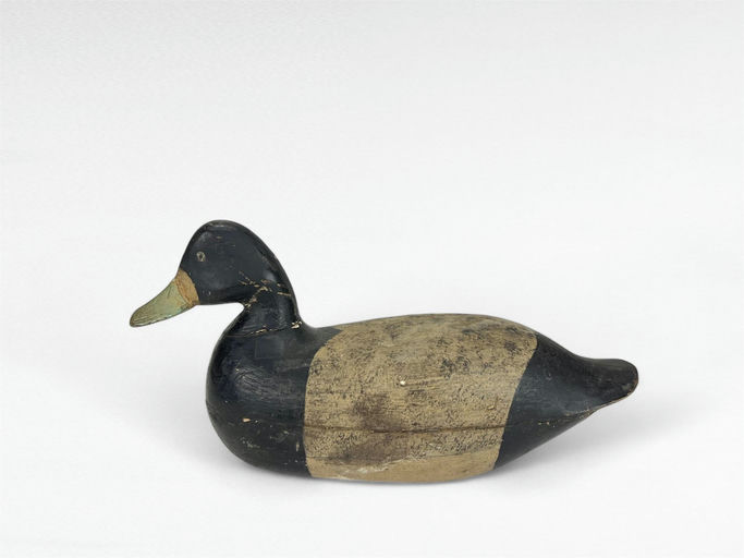 Mark Kears — Bluebill Hen