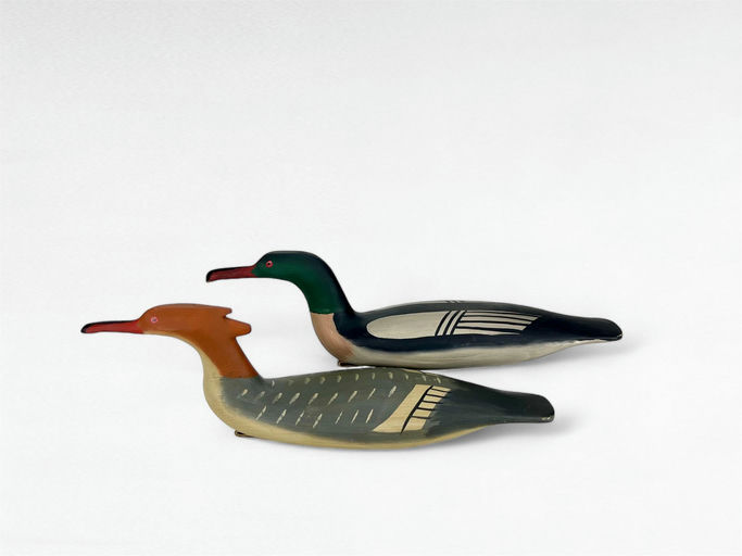 Bob Biddle — Miniature Merganser Pair