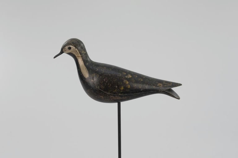 Folger Family – Golden Plover – 2026