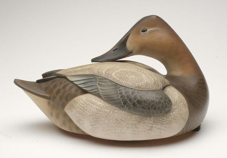 Tom Matus – Canvasback Hen – 2023