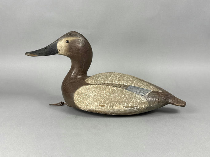 Ward Brothers – Canvasback – 2026