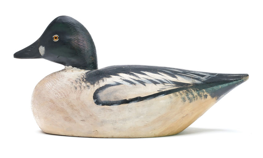 Elmer Crowell – Goldeneye – 2025