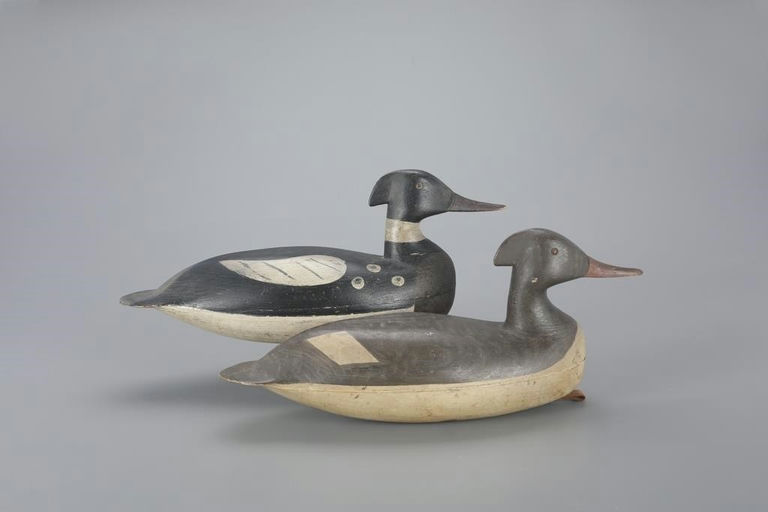 Levi Rhodes Truex – Red-breasted Merganser Pair – 2023