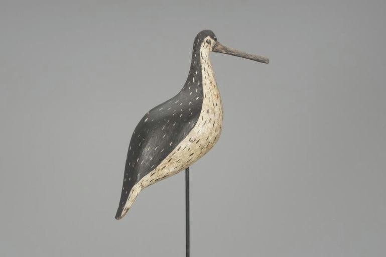 Charles S. Clark – Important Greater Yellowlegs – 2018