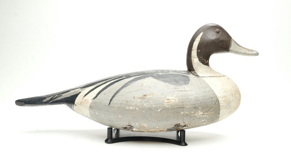 Ira Hudson – Pintail – 2026