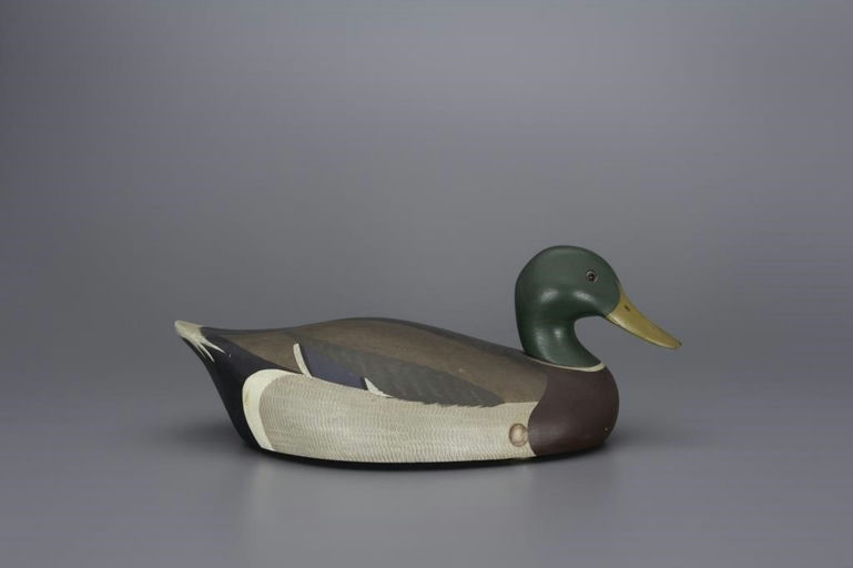 Ken Harris – Mallard Drake – 2017