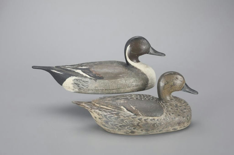 Luigi Andreuccetti – Pintail Pair – 2023