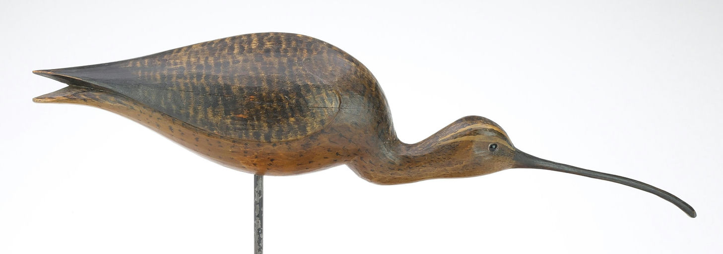 Mark McNair – Curlew – 2024