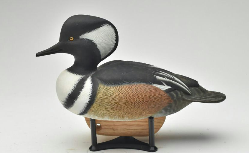Tom Matus – Hooded Merganser – 2023