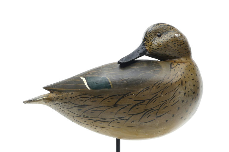 William "Bill" R. Goenne – Green-winged teal – 2026