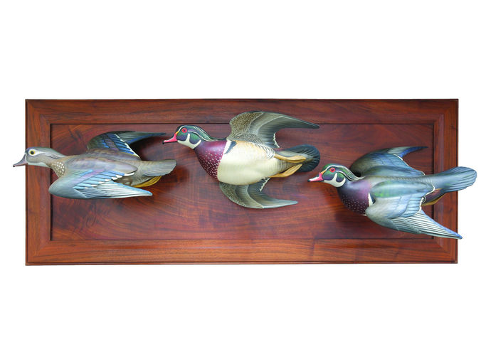 Josh Brewer – Wood Duck – 2023