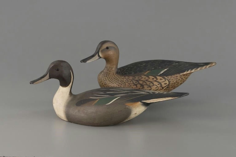Ward Brothers – Outstanding Purnell Pintail Pair – 2025