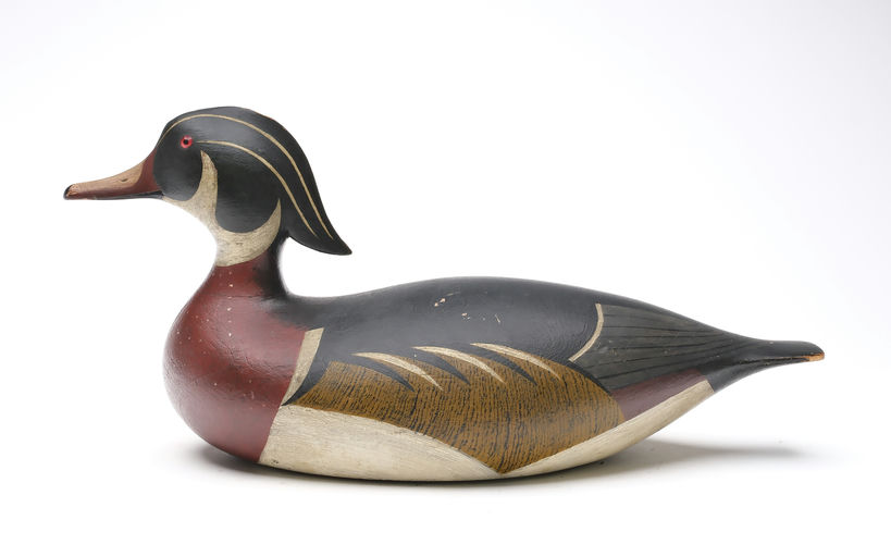 Joseph Lincoln — Wood Duck