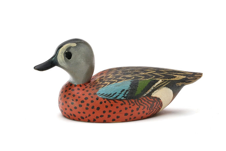 Oliver Lawson – Miniature Blue-winged Teal – 2025