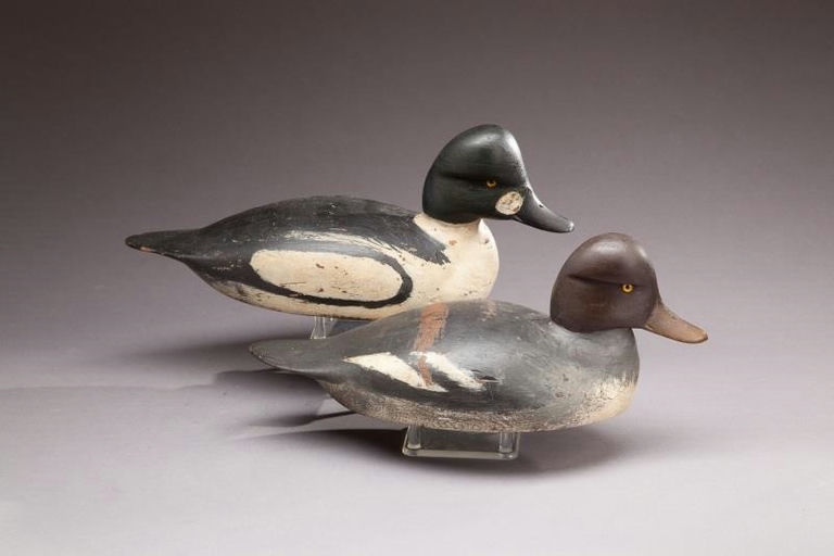 Sam Denny – Goldeneye Pair – 2013