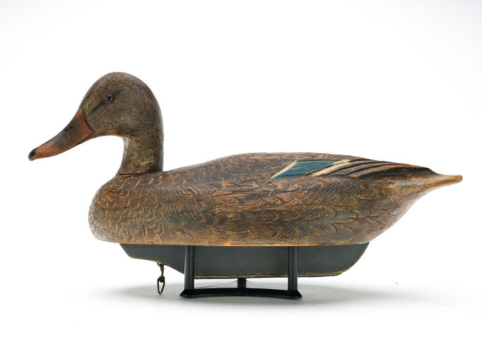 Ben Schmidt – Mallard Hen – 2025