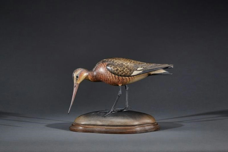 Bill Gibian – Black-Tailed Godwit – 2017