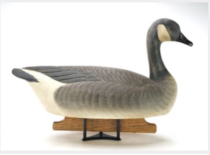 Marty Hanson – Canada Goose