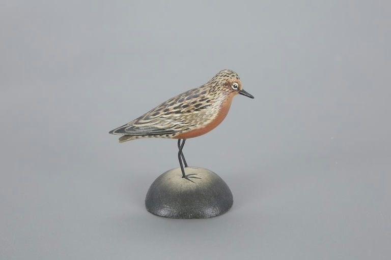 Elmer Crowell – Miniature Red Knot – 2023