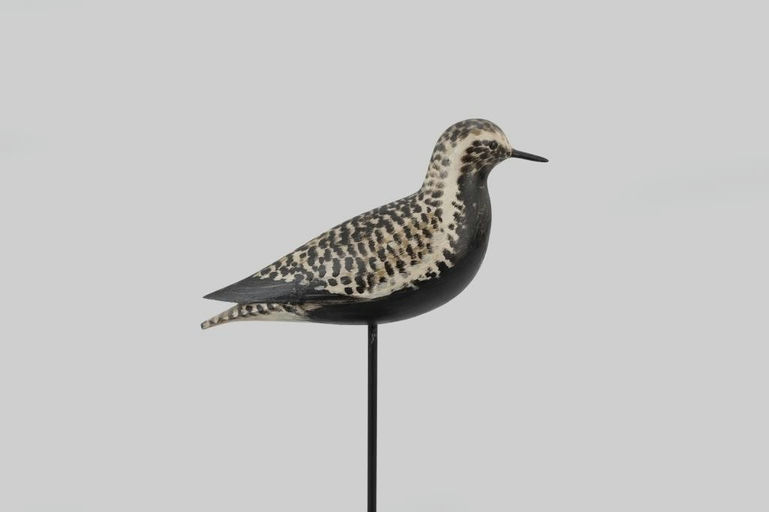 Elmer Crowell – Sherer Rig Black-Bellied Plover – 2026