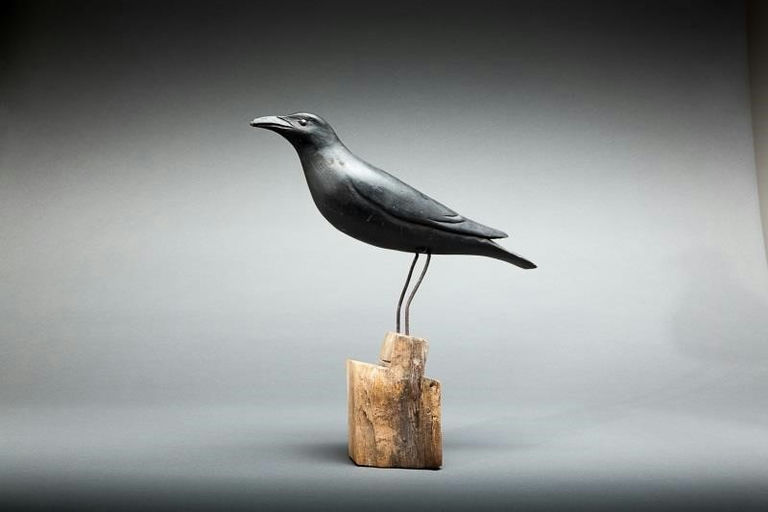 Davison B. Hawthorne – Crow – 2014