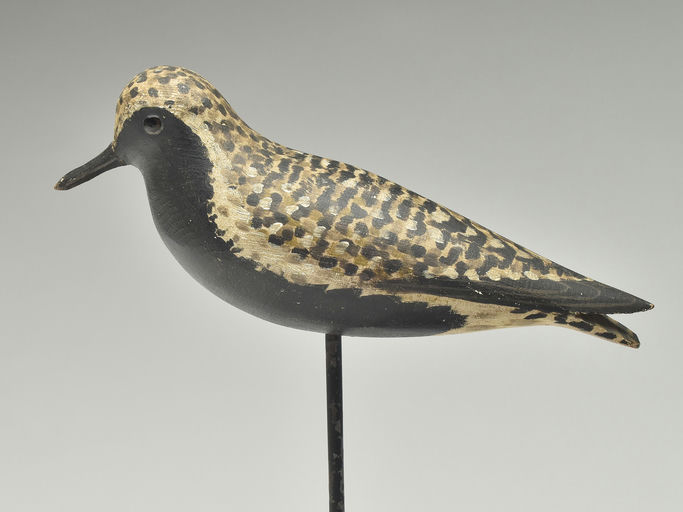 Elmer Crowell – Black Bellied Plover – 2023