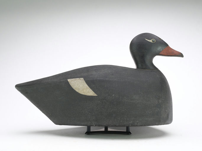 Joseph Lincoln – Scoter – 2025