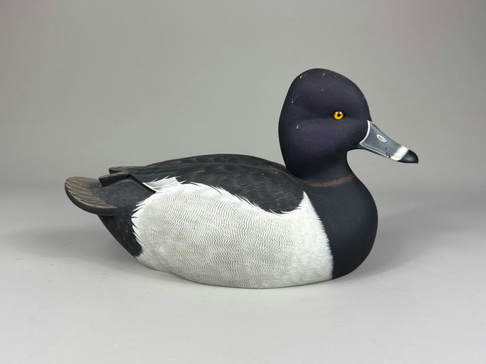 Jack Cox – Ringneck – 2026