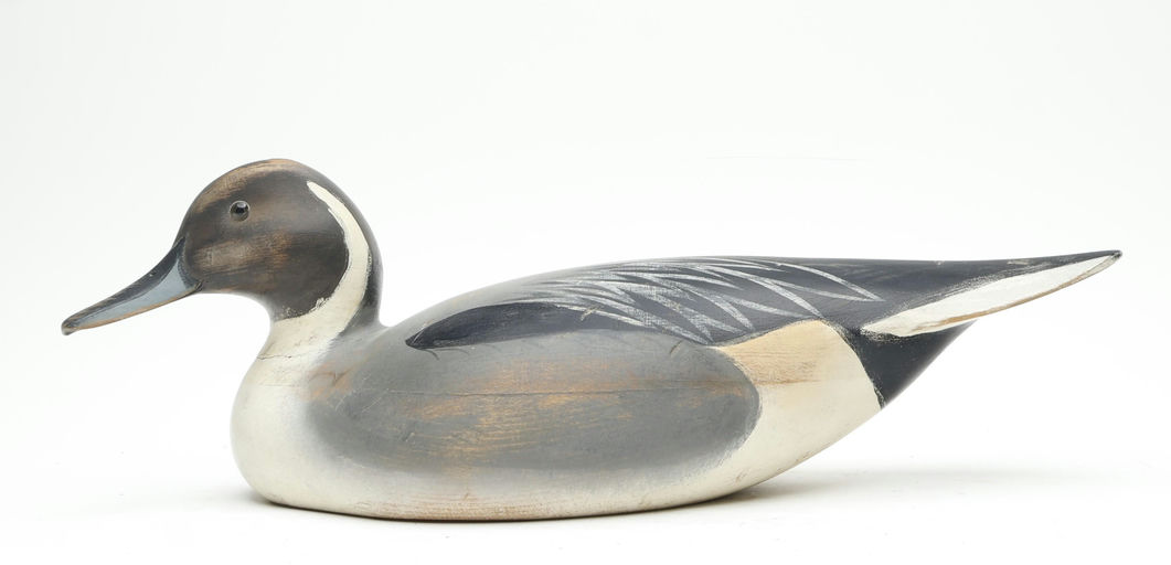 Oliver Lawson – Pintail – 2026